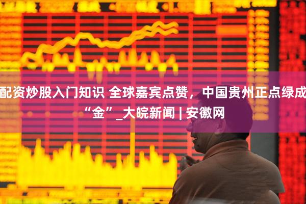 配资炒股入门知识 全球嘉宾点赞，中国贵州正点绿成“金”_大皖新闻 | 安徽网