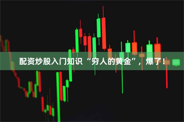 配资炒股入门知识 “穷人的黄金”，爆了！