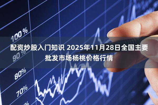 配资炒股入门知识 2025年11月28日全国主要批发市场杨桃价格行情